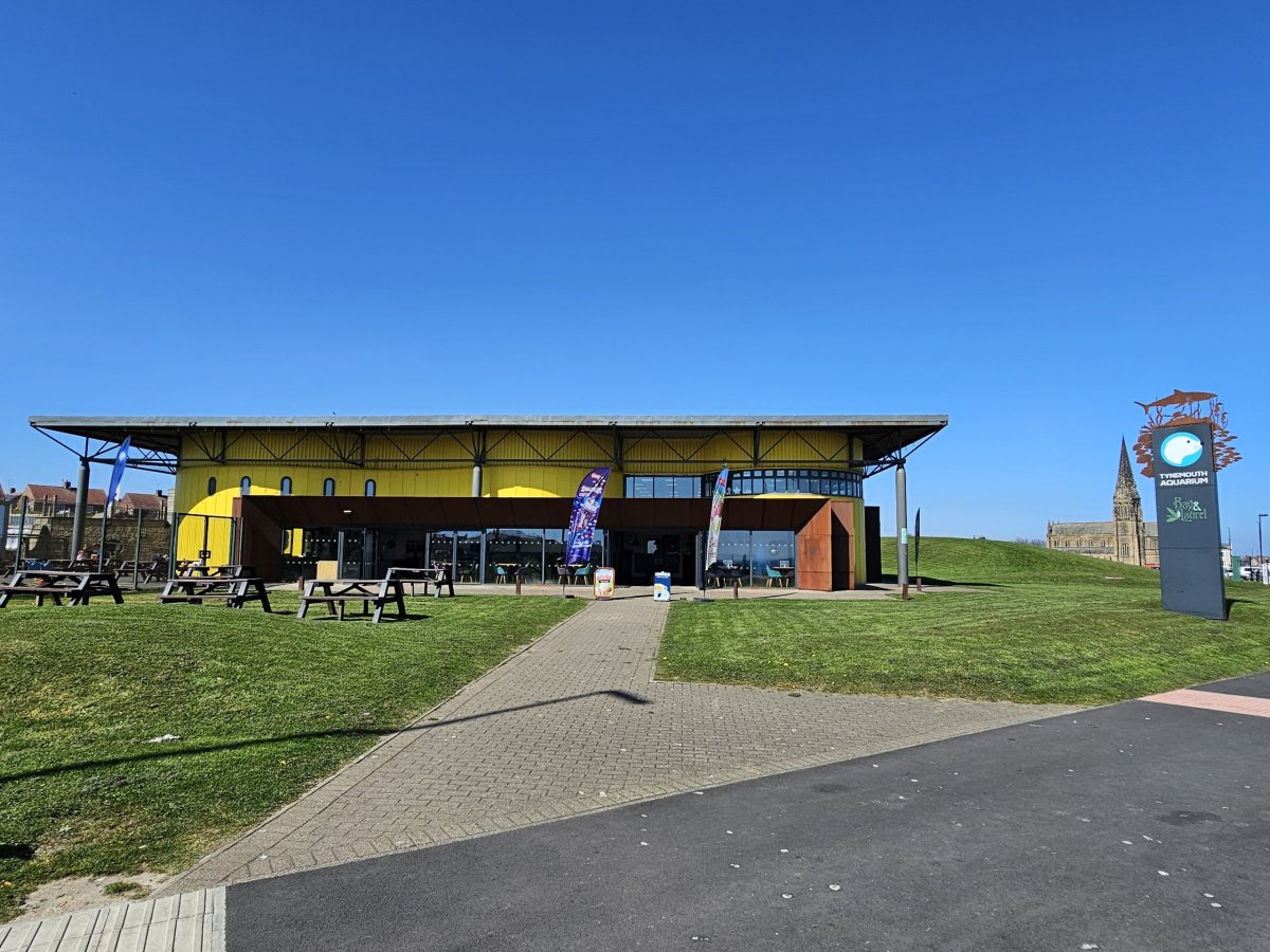Tynemouth Aquarium