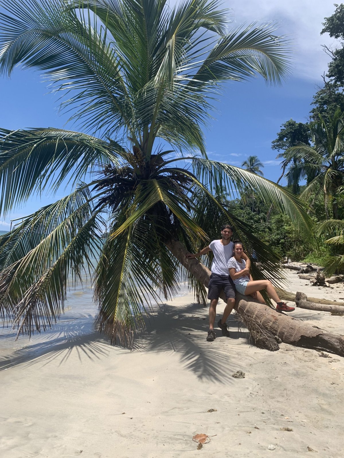 Taková ta instagram palma v Cahuitě