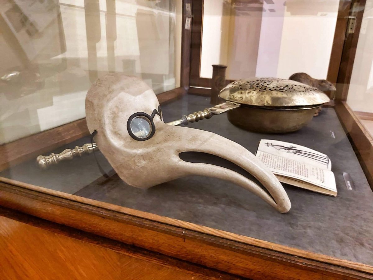 Muzeum historie medicíny