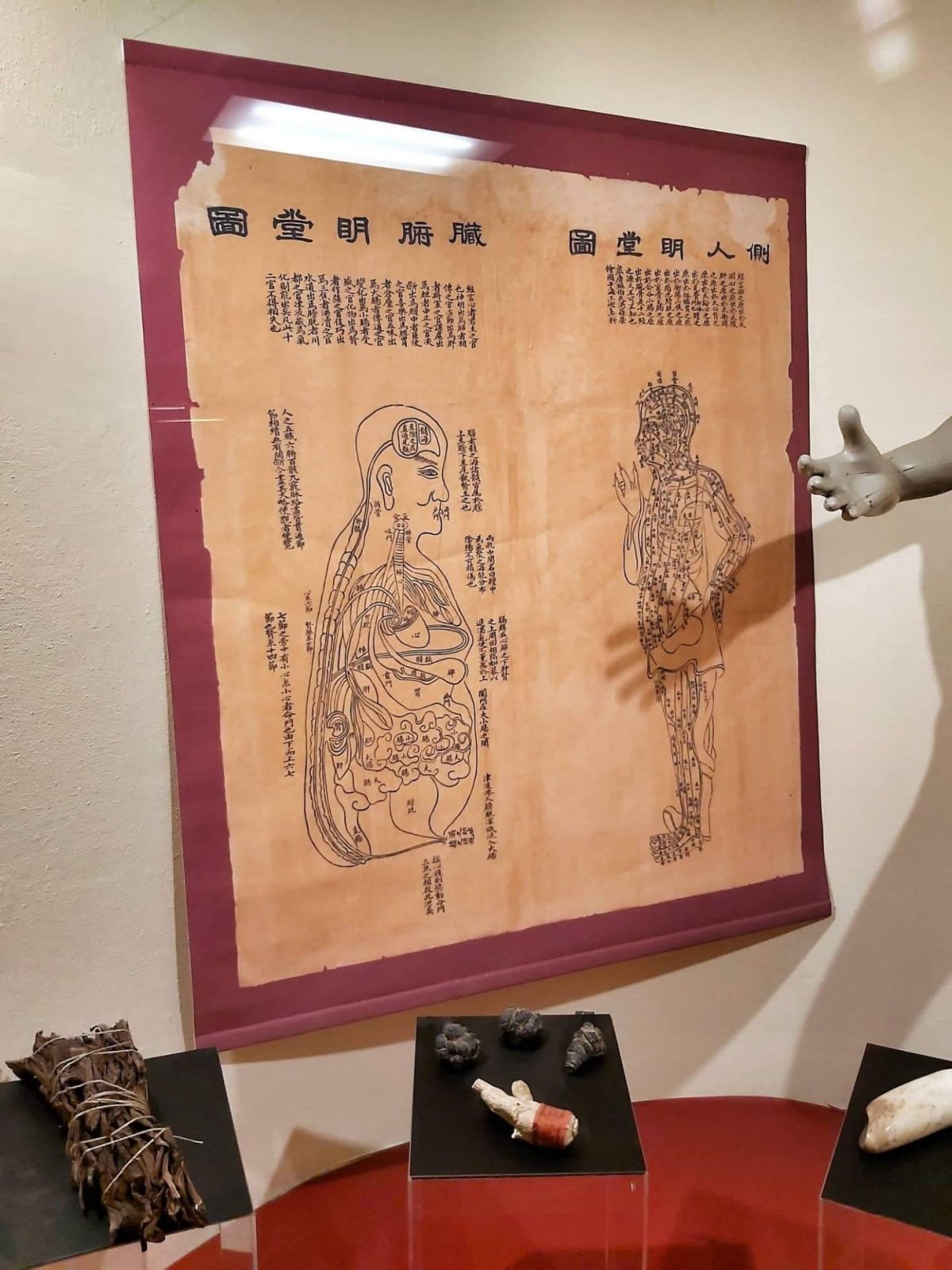 Muzeum historie medicíny