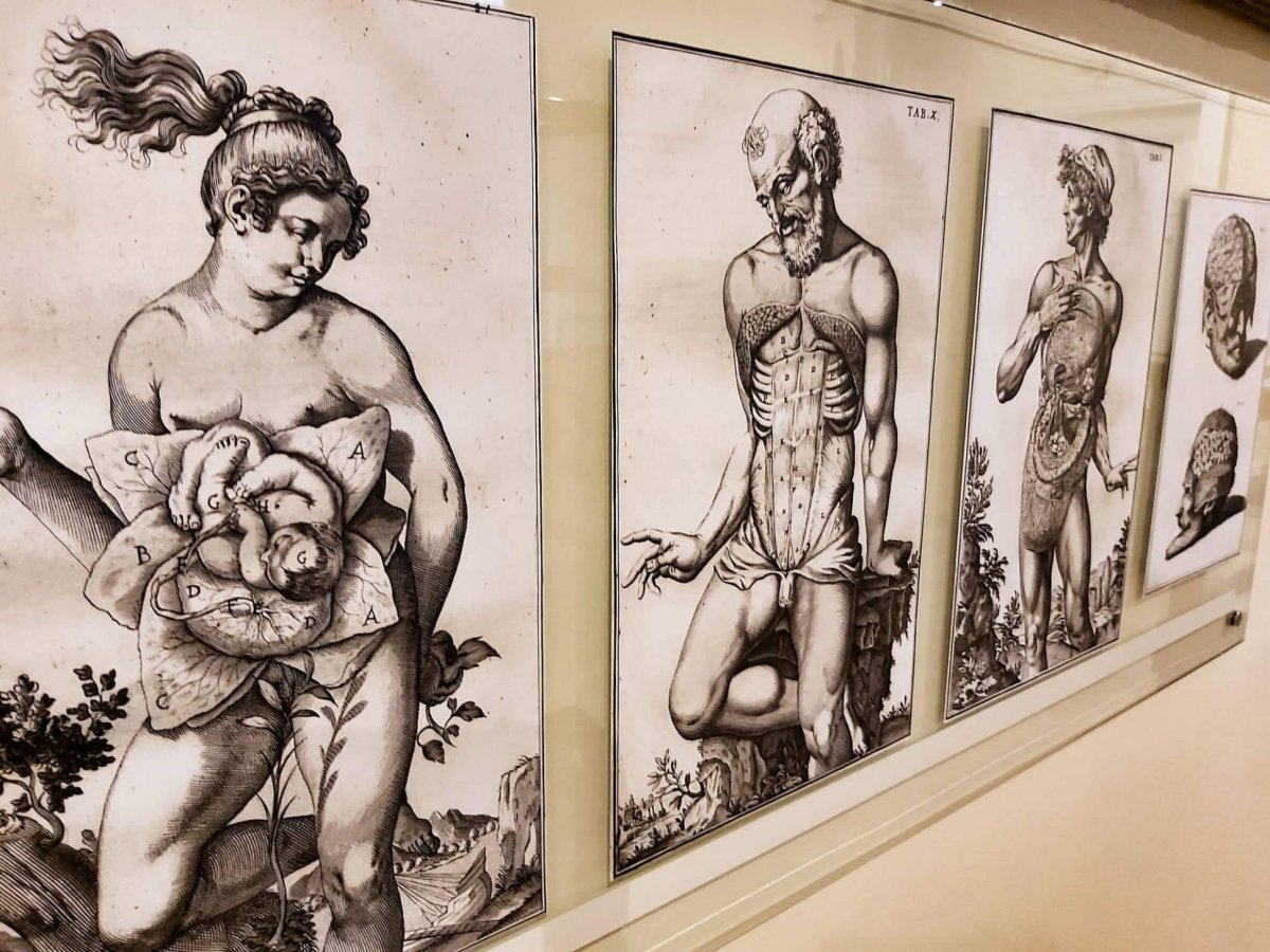 Muzeum historie medicíny