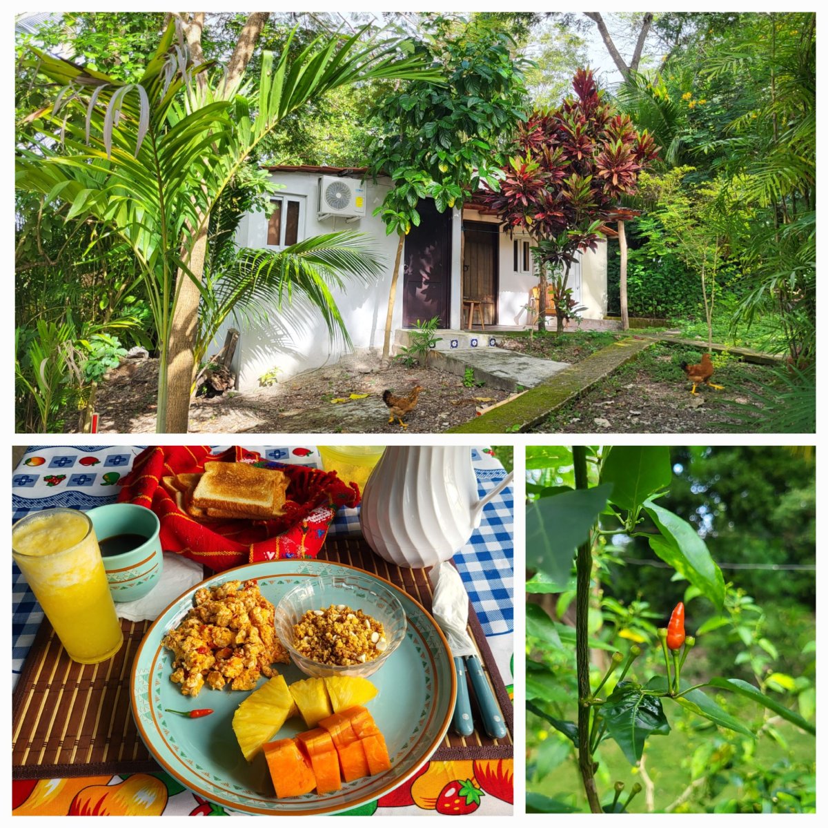 Pokoj u jezera a snídaně