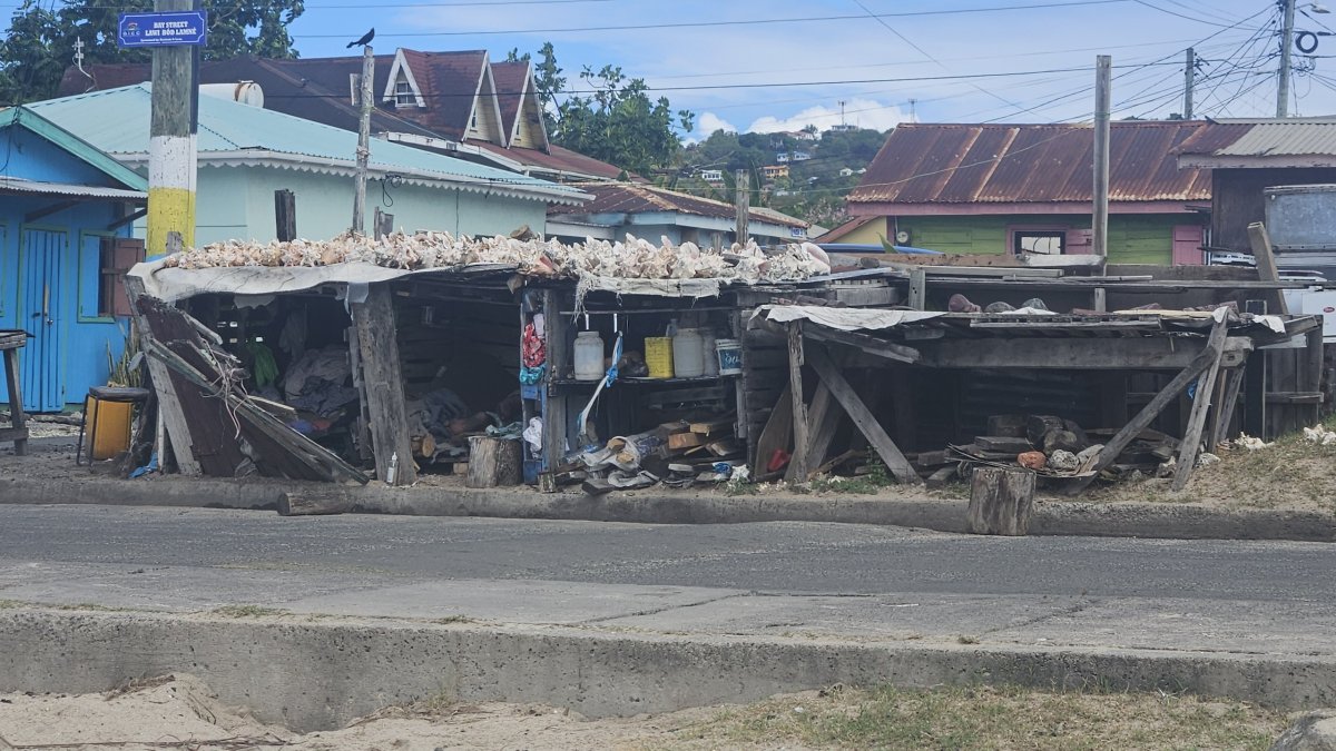 I takto se tu bydlí a žije