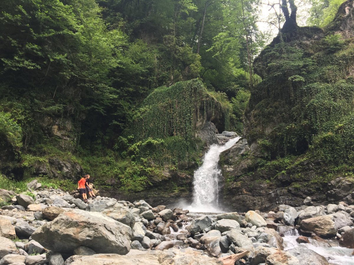 Black Grouse Watterfall