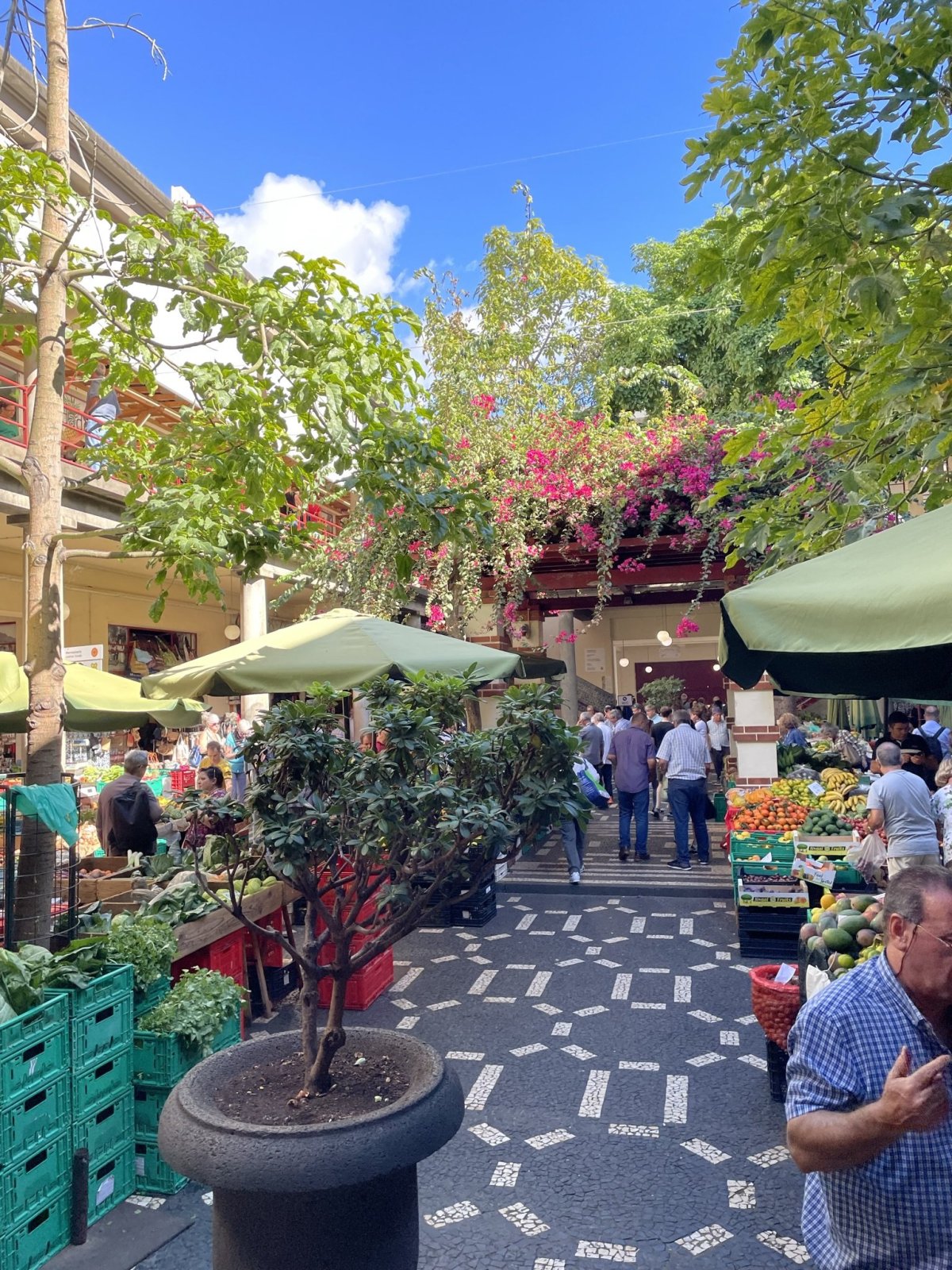 Mercado dos Lavradores