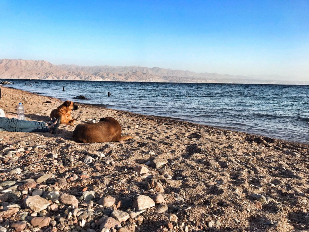 Pláže v Eilat