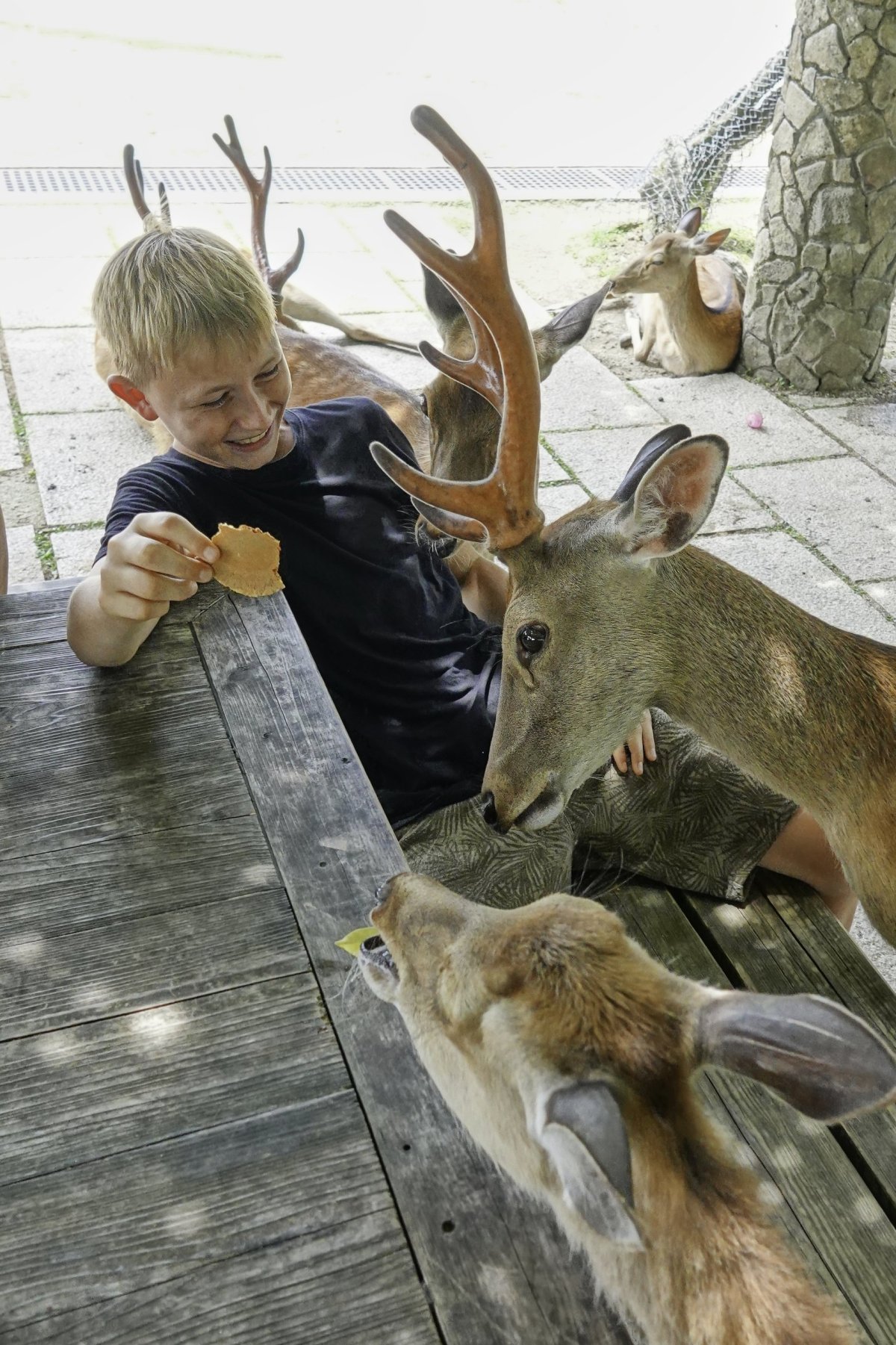 ..o kterou je mimořýdný zájem...