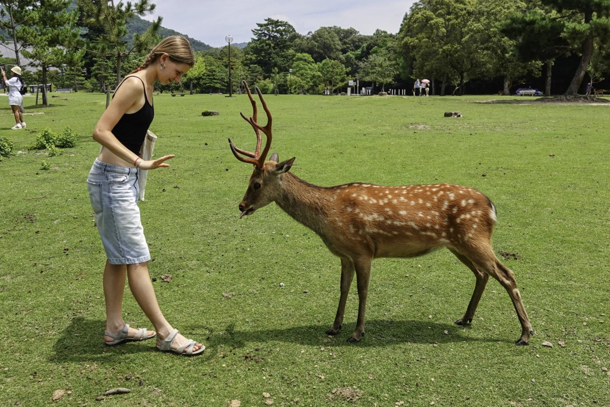 vzájemný úklon následuje sušenka...