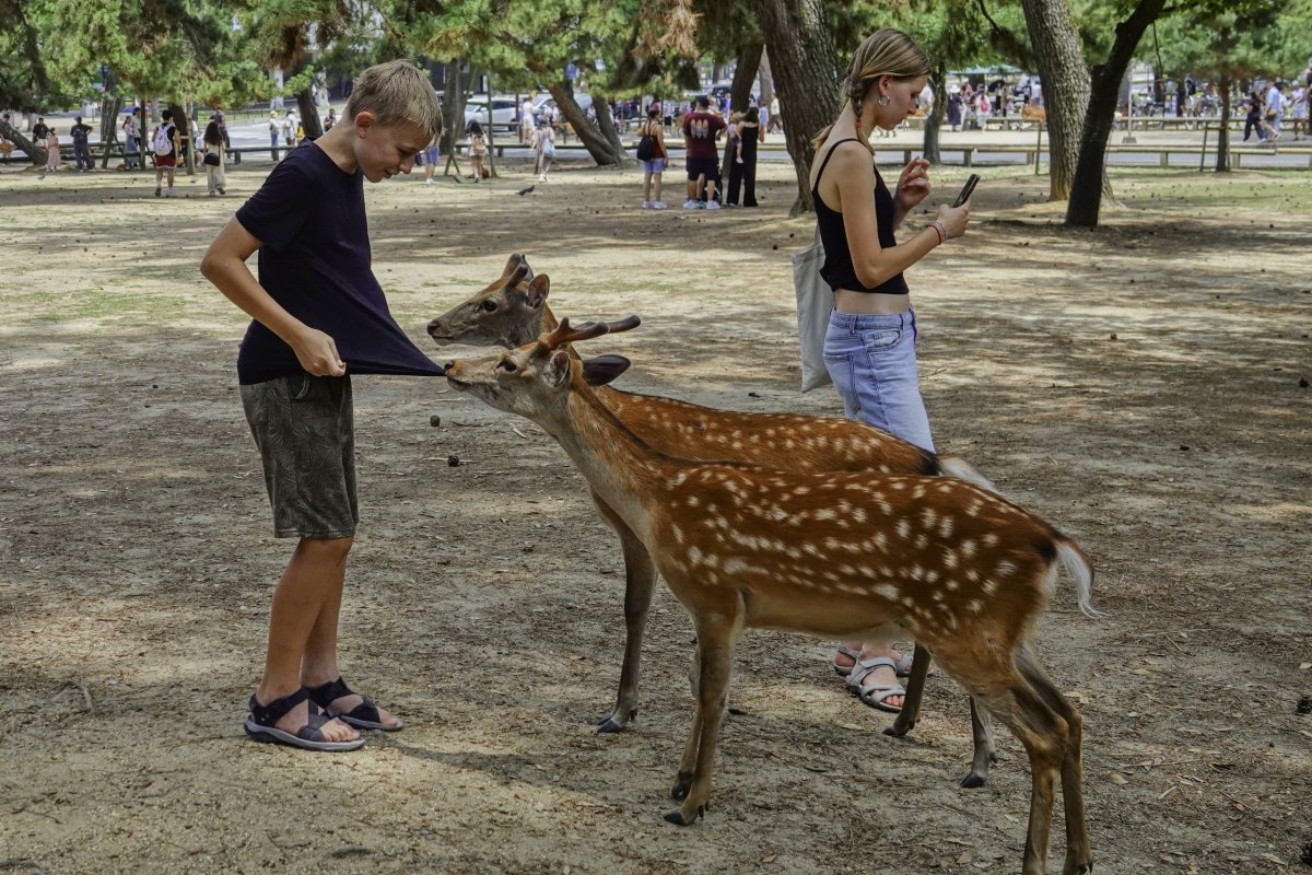 ... a běda, když sušenky dojdou