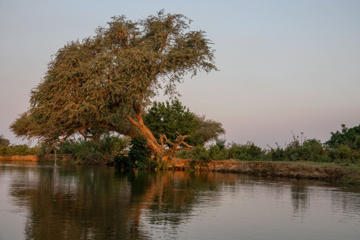 Na řece Zambezi