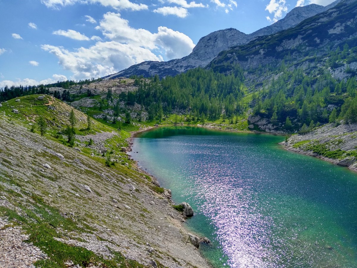 Cesta od jezera v Ledvicah