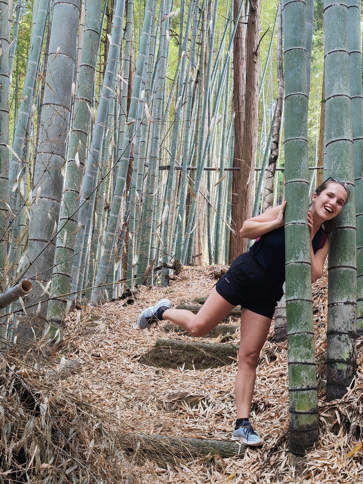Náhodně objevený bambusový ráj!