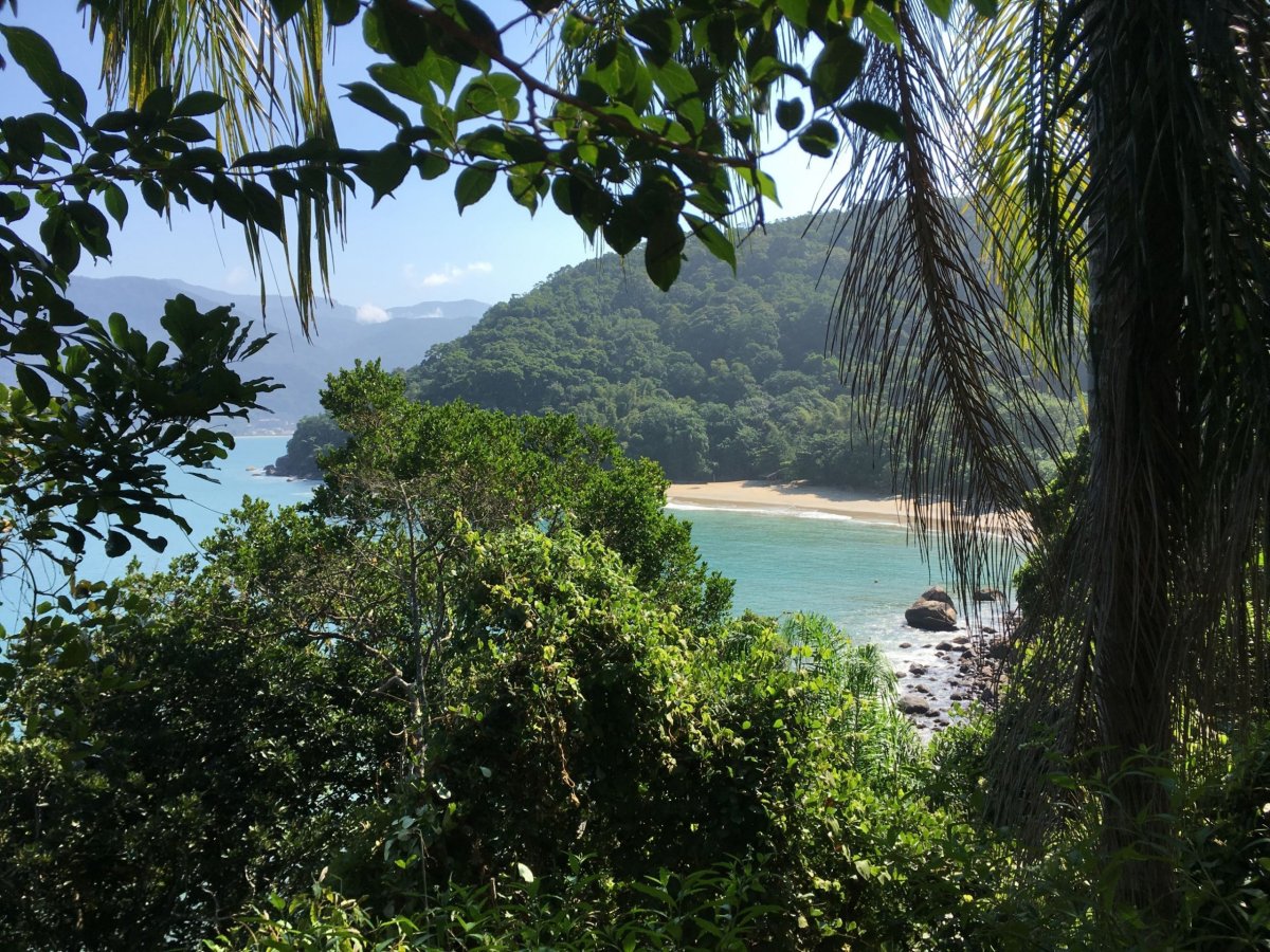 Hlavička uživatele