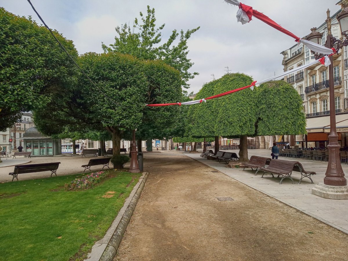 Zvláštní způsobem prořezání stromů v centru města