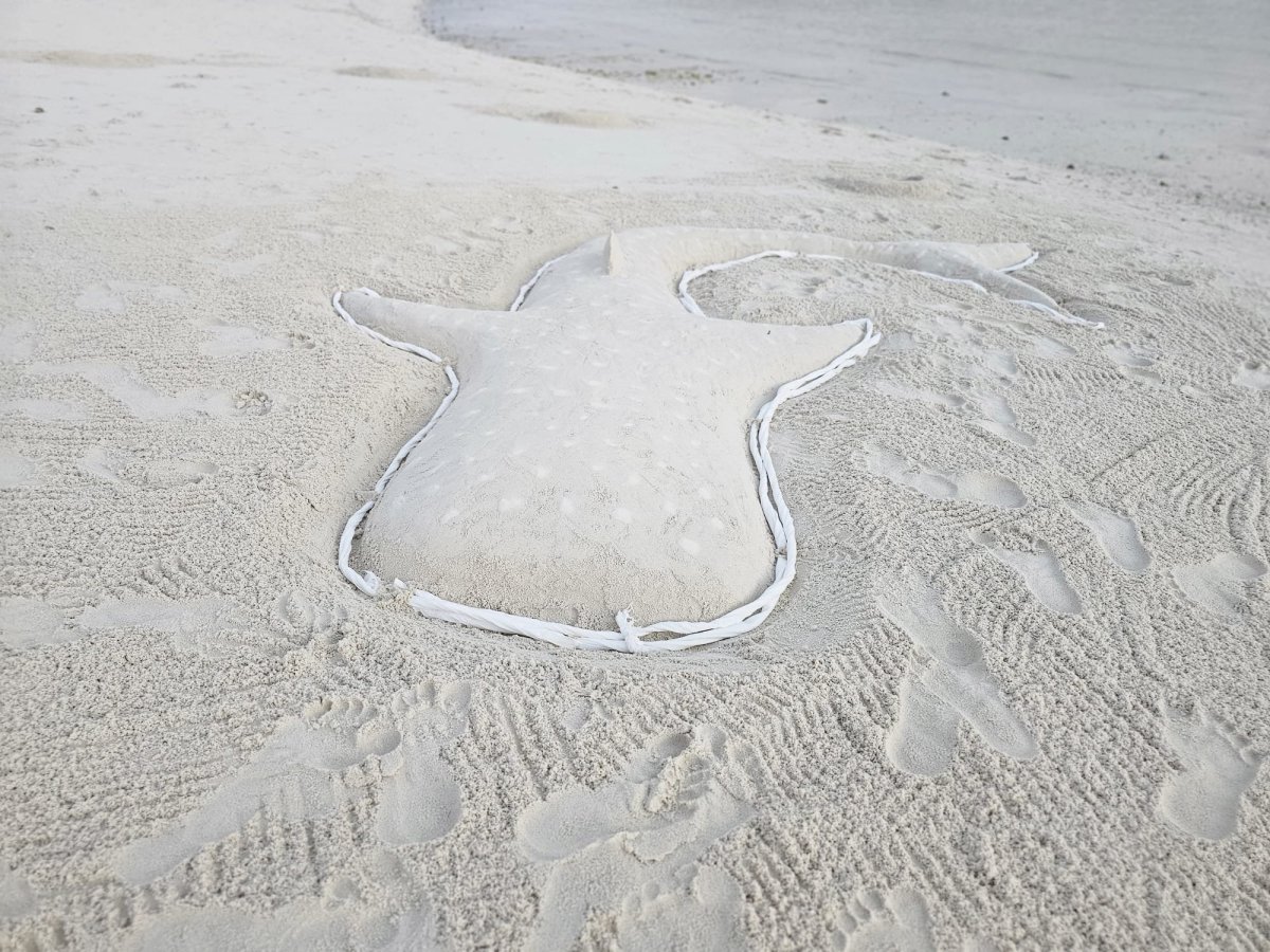 HA, whale shark z písku - milé