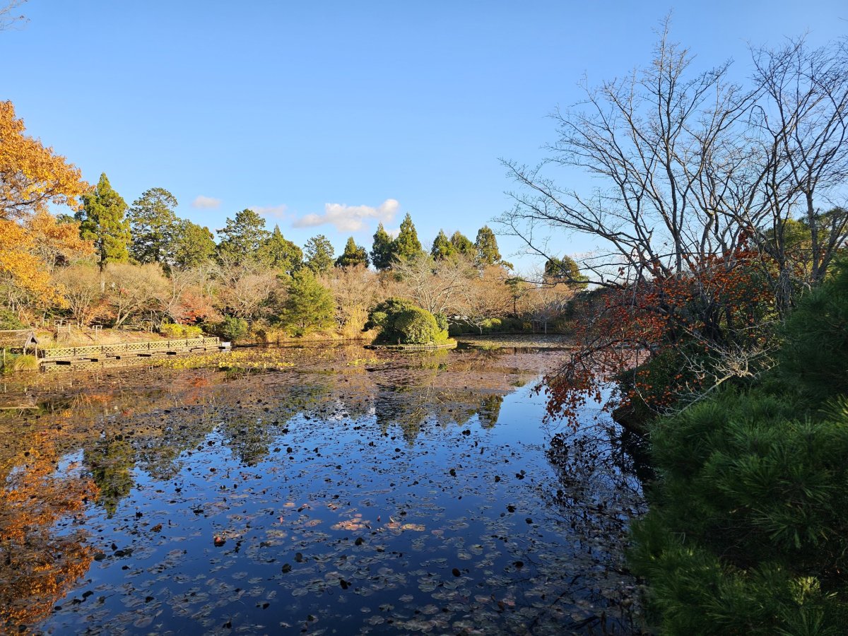 Chrám Ryoan-ji