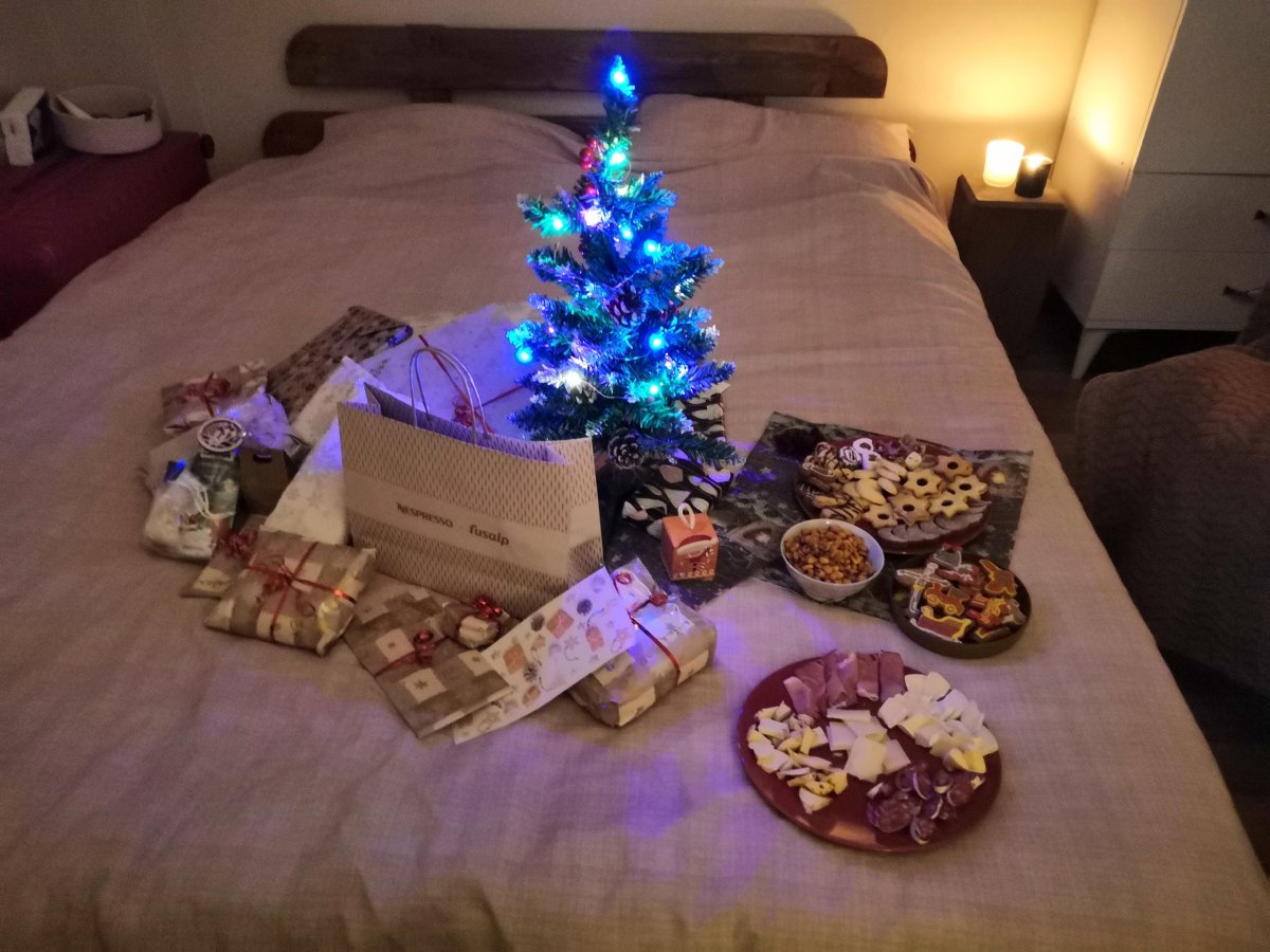 Náš vánoční stromeček