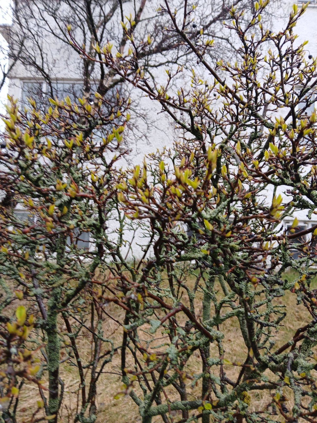 Při mém odjezdu už bylo regulérní jaro