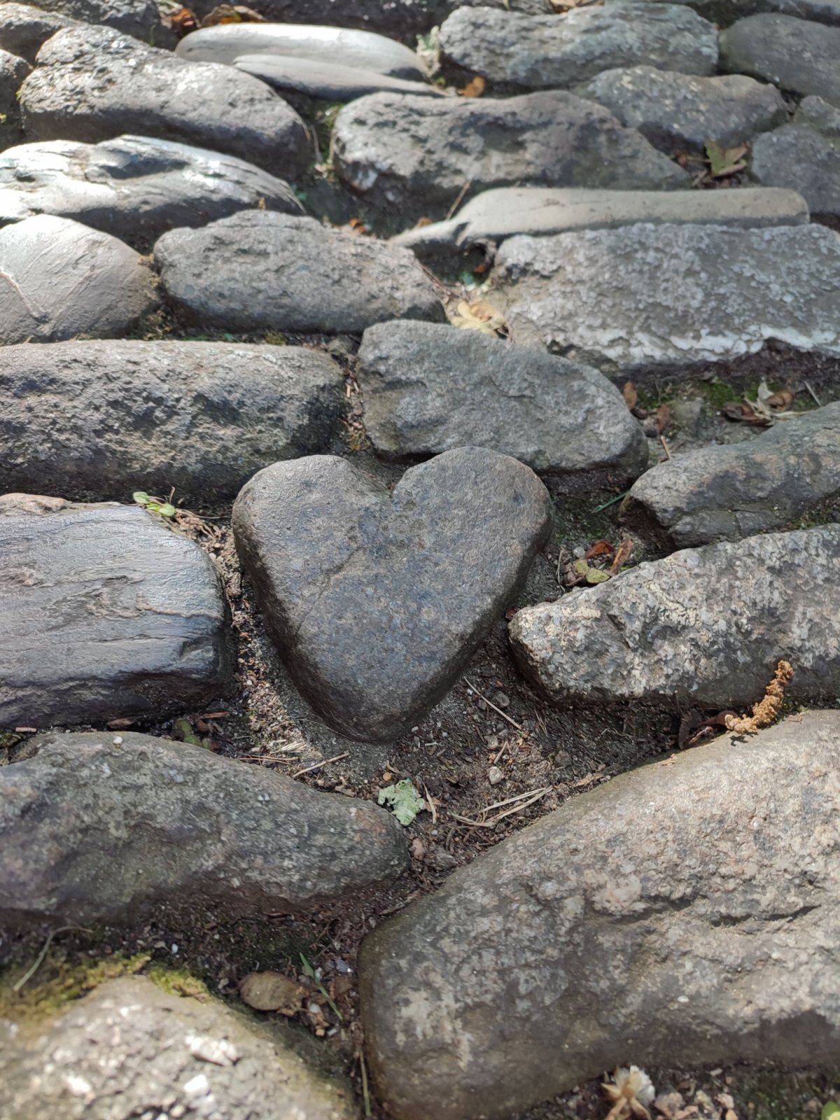 Stejně byste si ho vygooglili :D