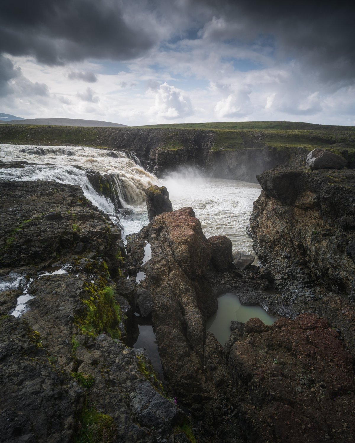 Vidíte toho ještěra? :-D