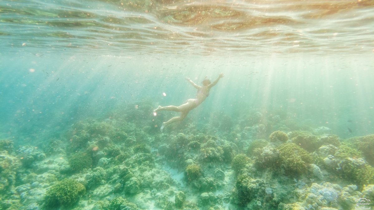  Tubod Marine Sanctuary - Siquijor