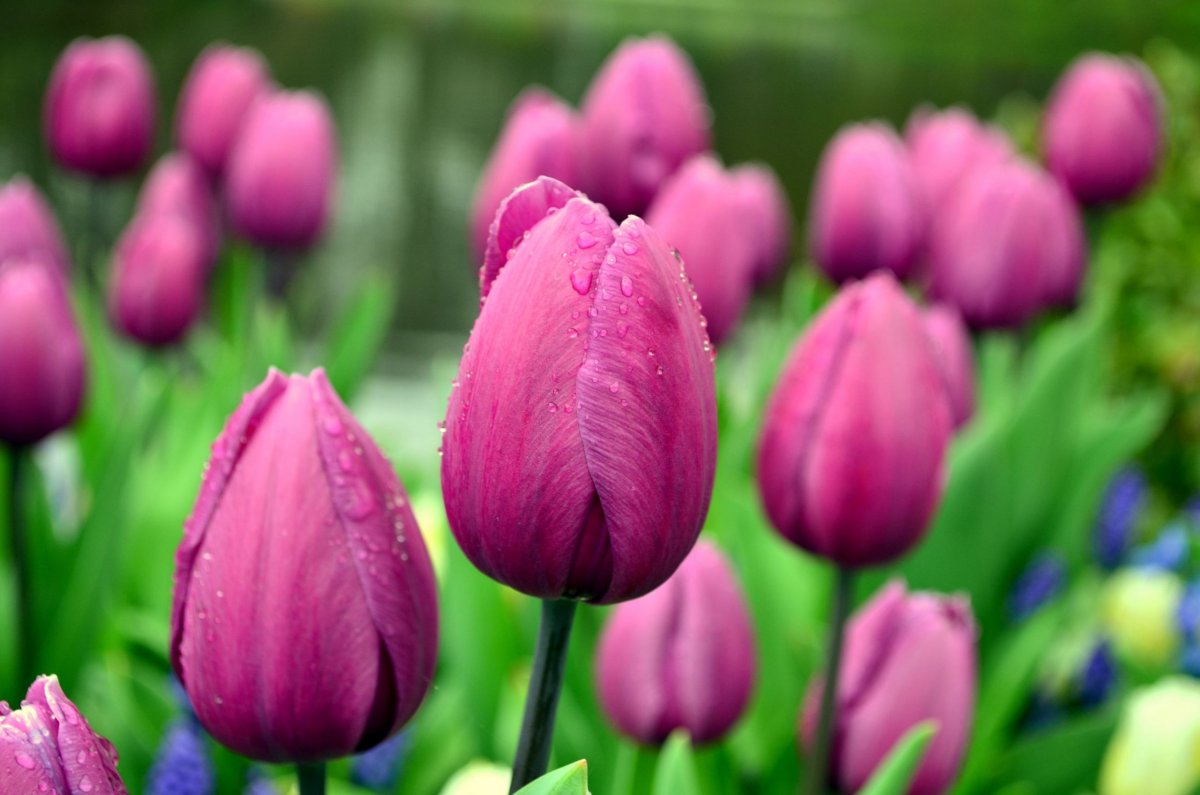 Hlavička uživatele