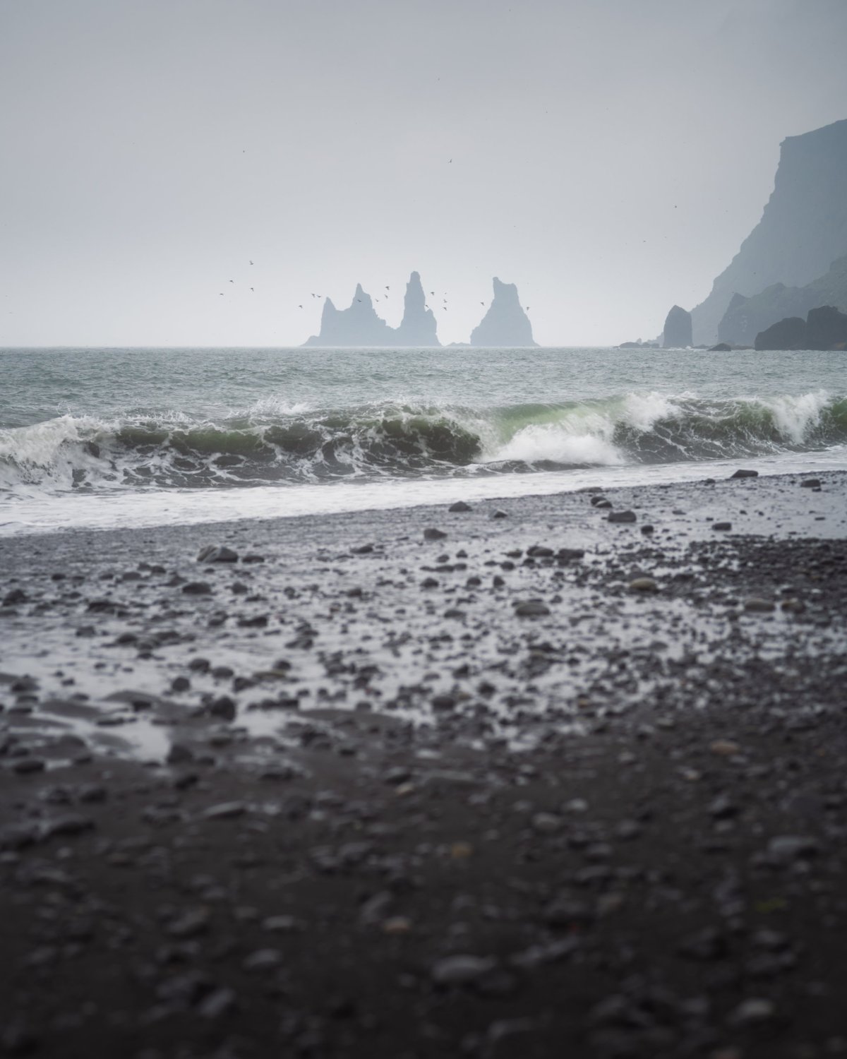 Víkurfjara Black Sand Beach