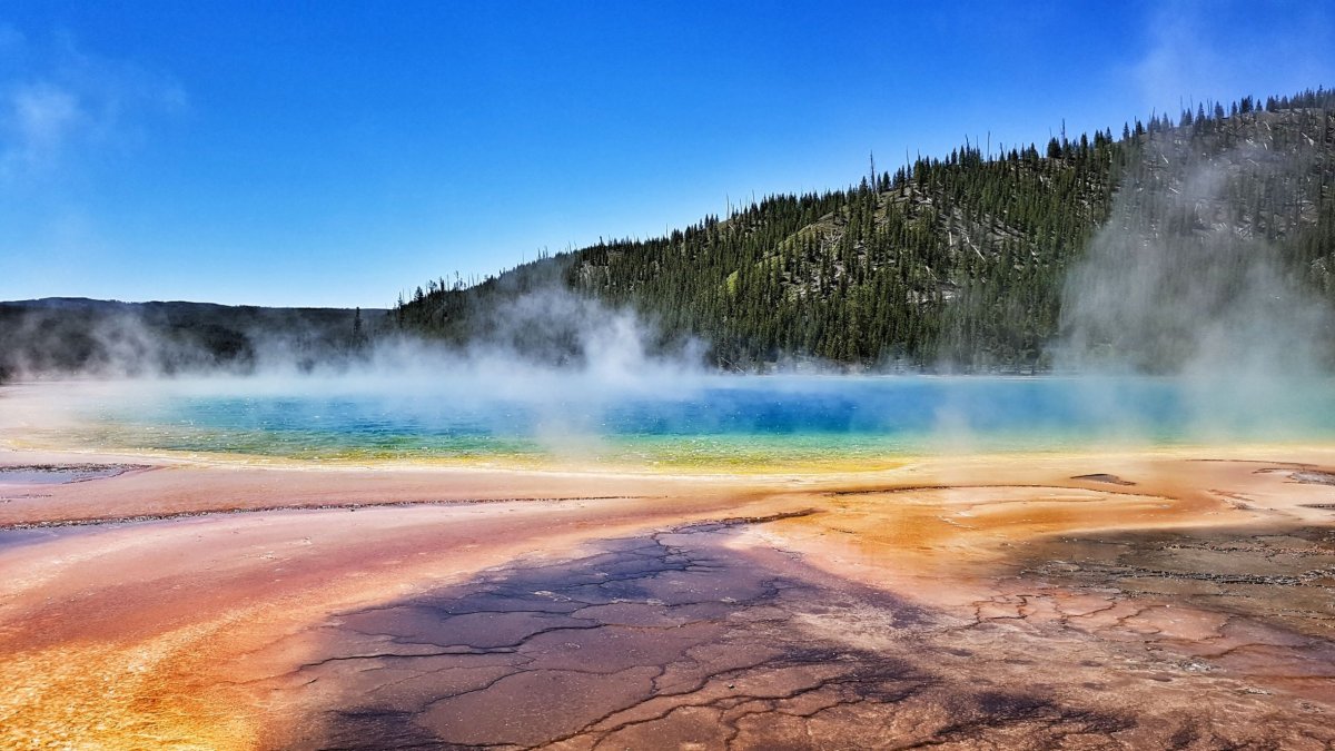 Hlavička uživatele