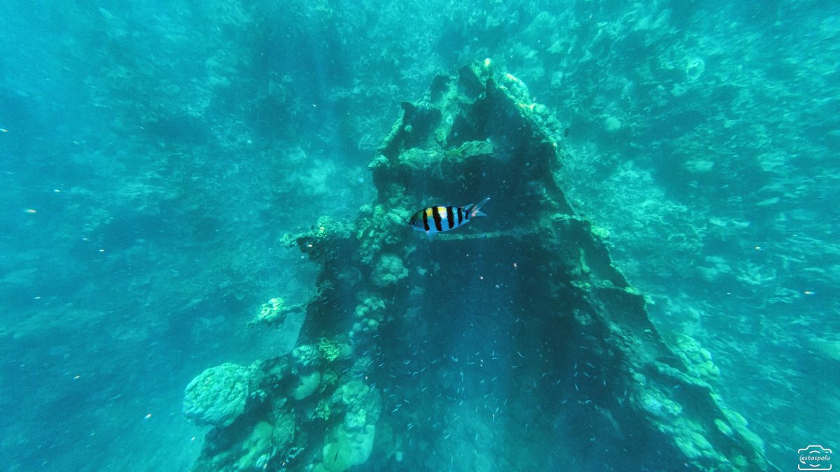  Sunken Japanese Wrecks