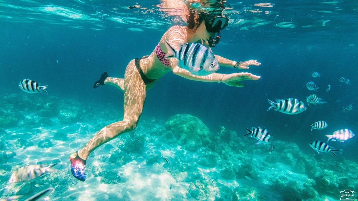  Sunken Japanese Wrecks - Coron