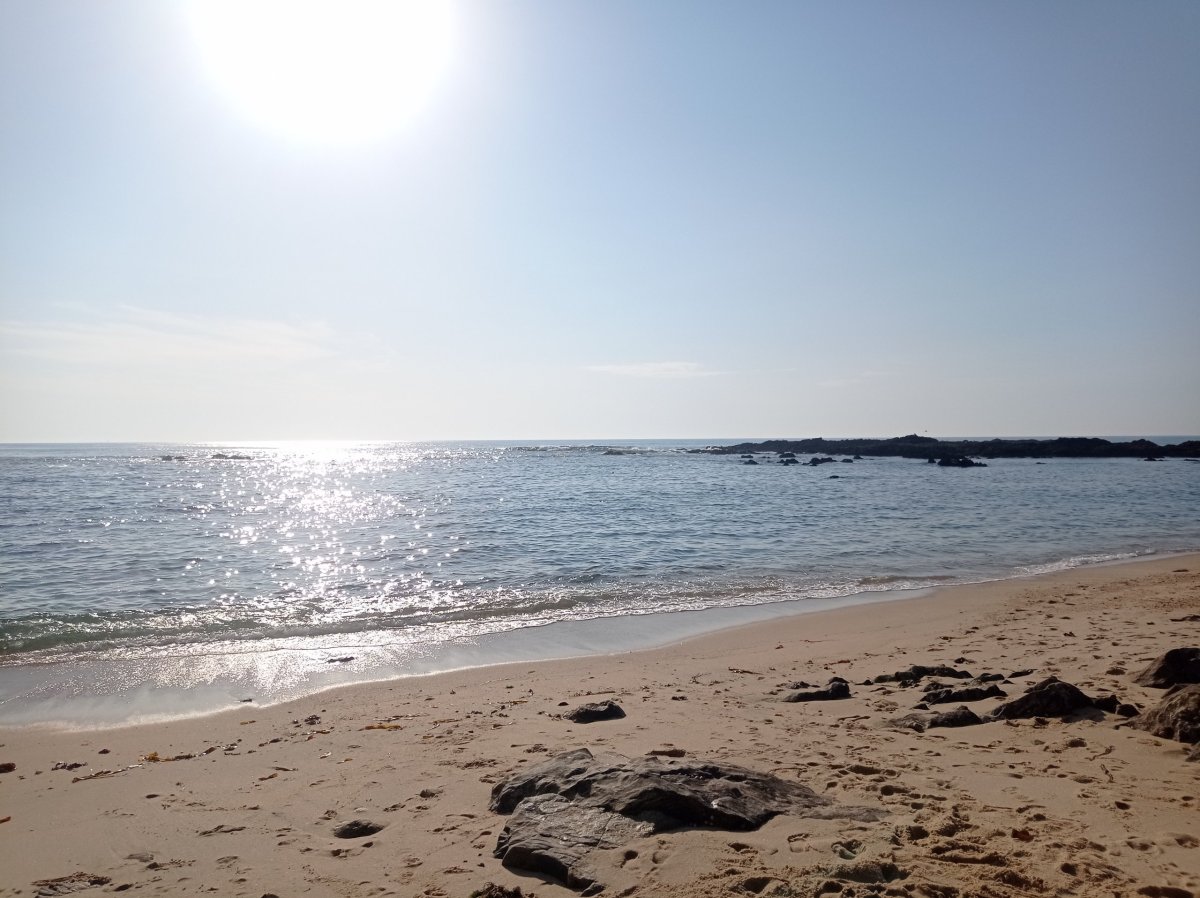 Oceán na otužování!