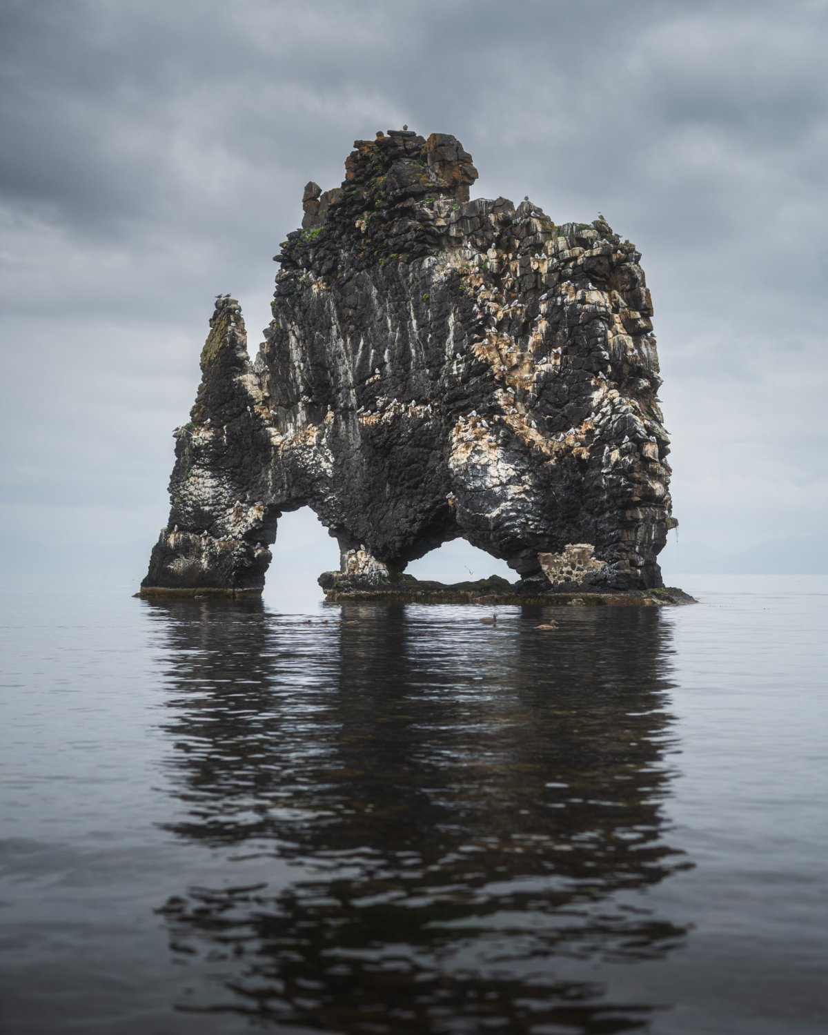 Hvítserkur Rock
