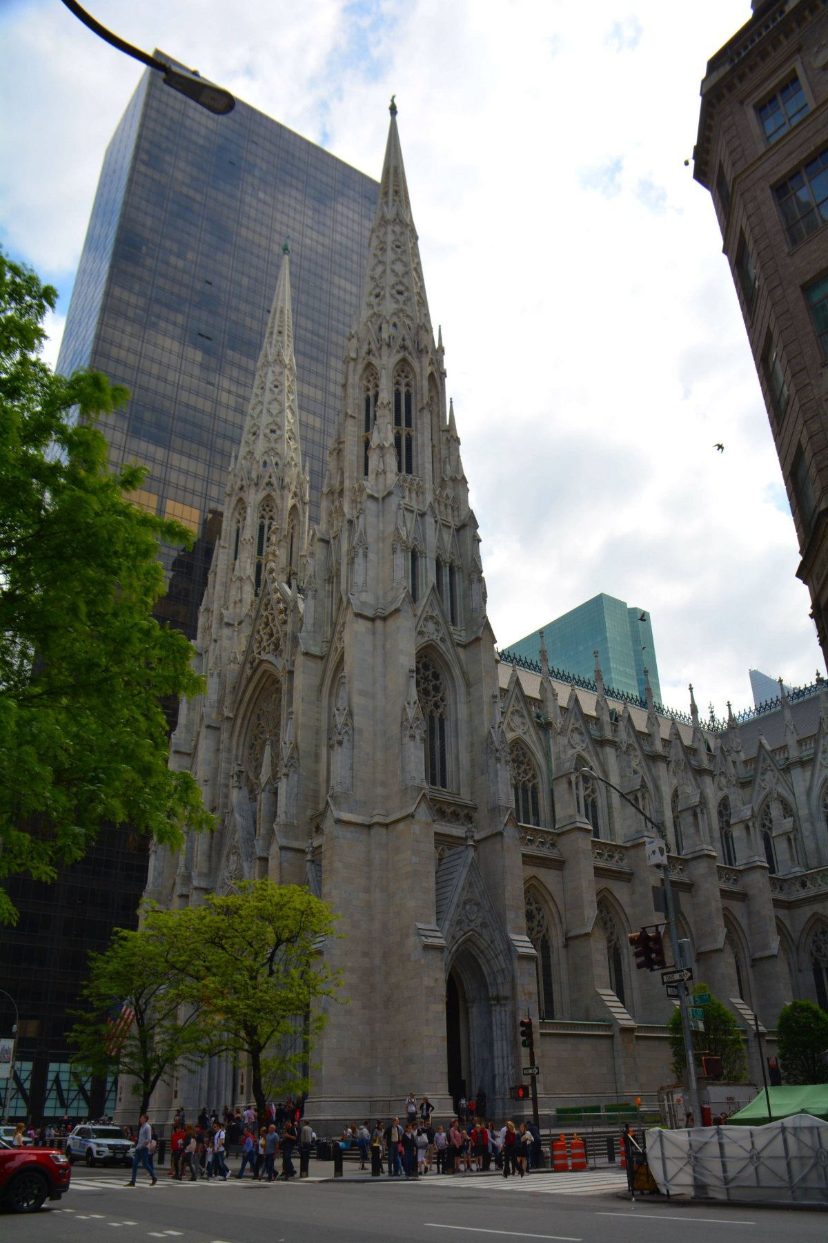  St. Patrick’s Cathedral