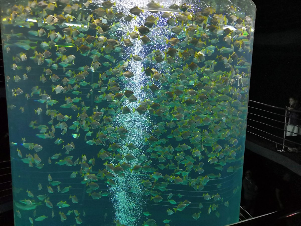 Několikametrové akvárium