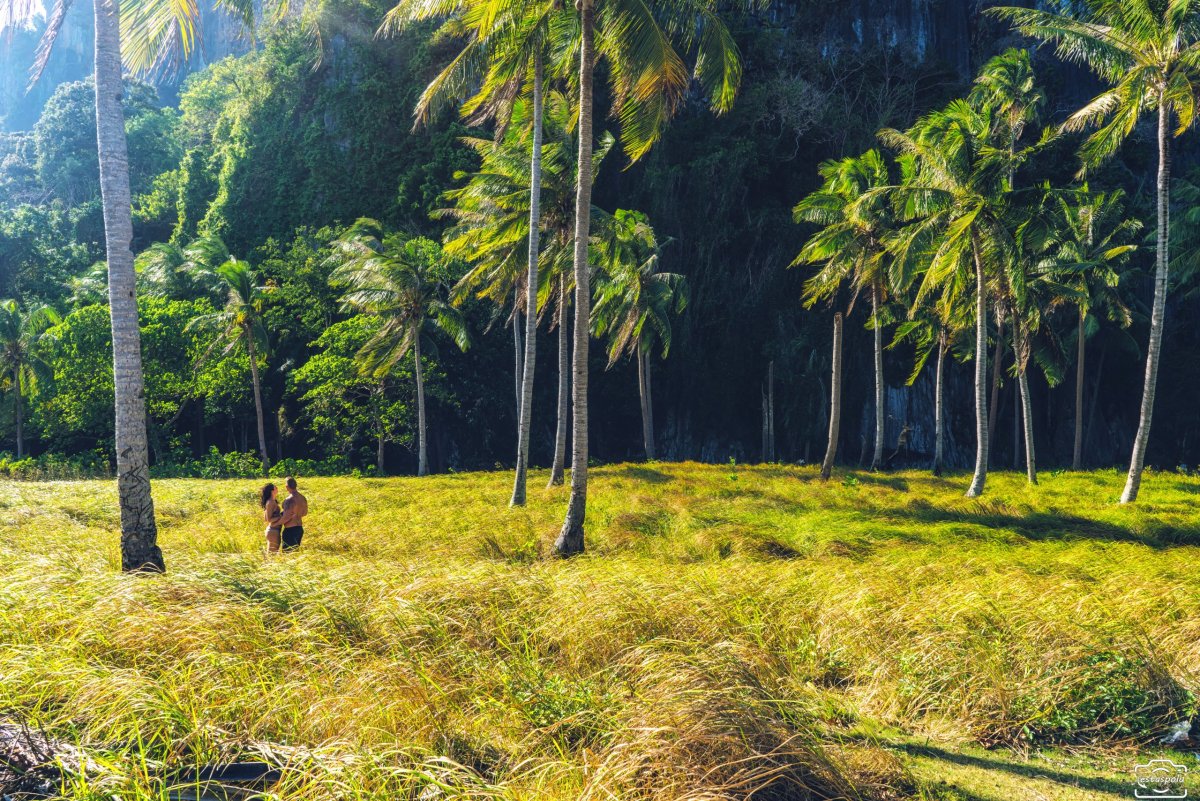 Pinagbuyutan Island - Palawan