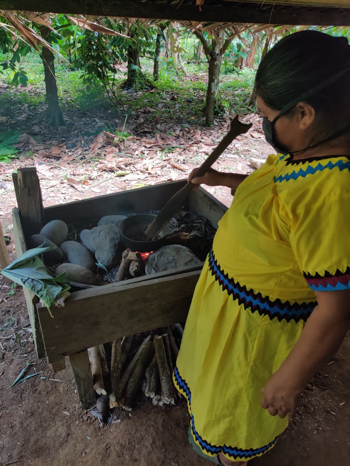 Pražení kakaových bobů