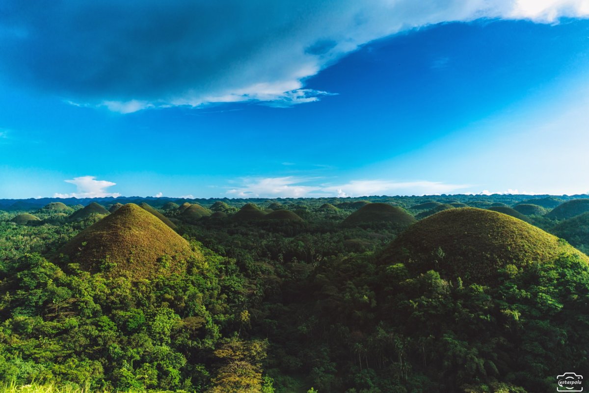 Chocolate Hills