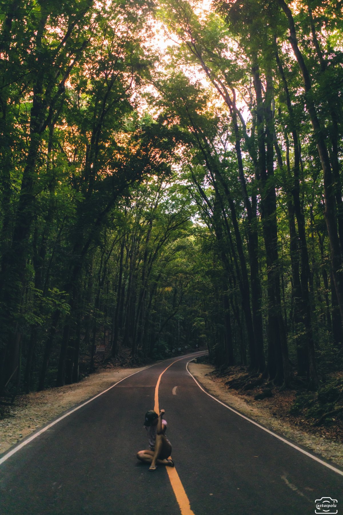 ChocolatBilar Man-Made Foreste Hills 