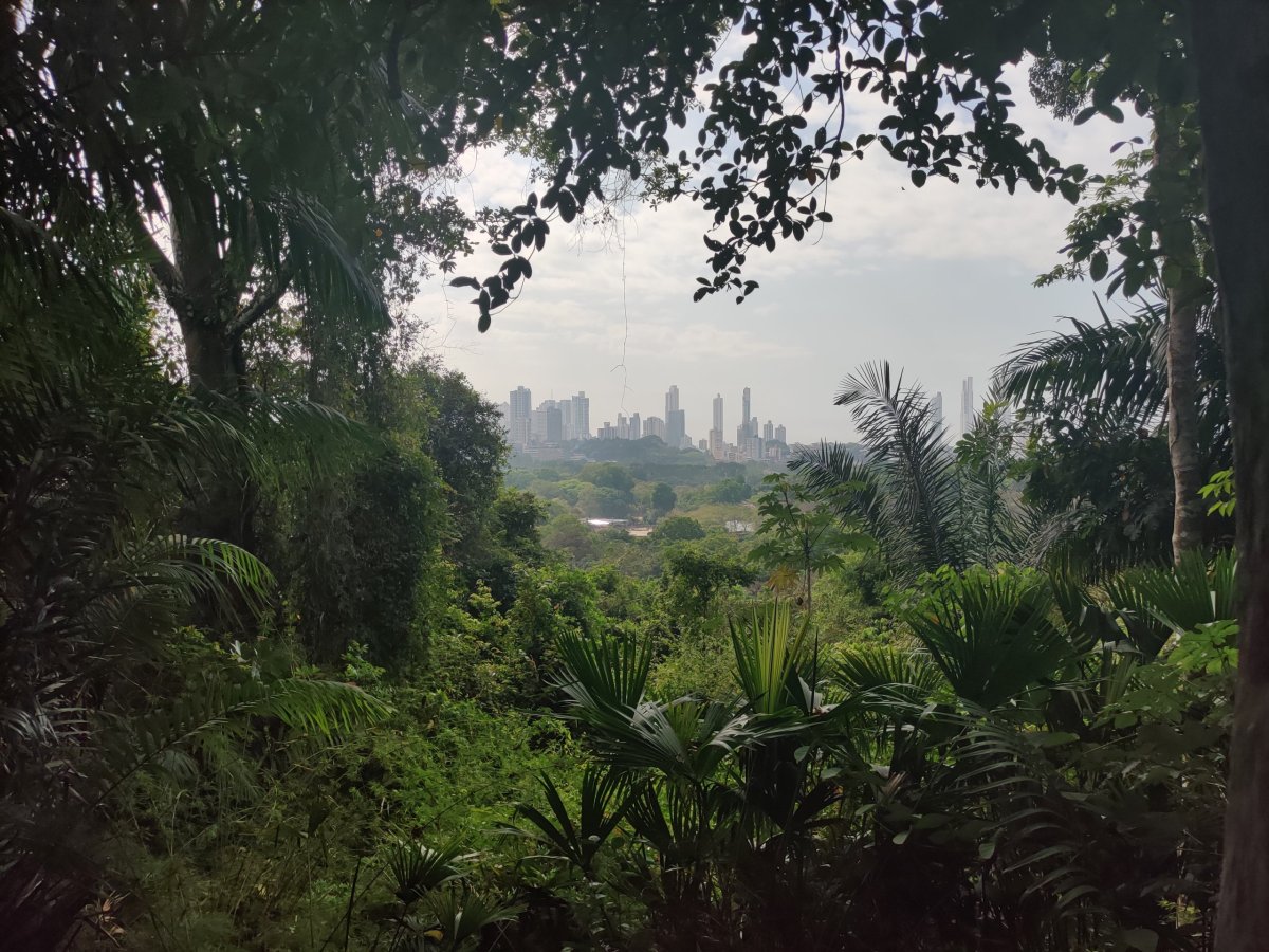 Výhled z metropolitan parku v Panama City