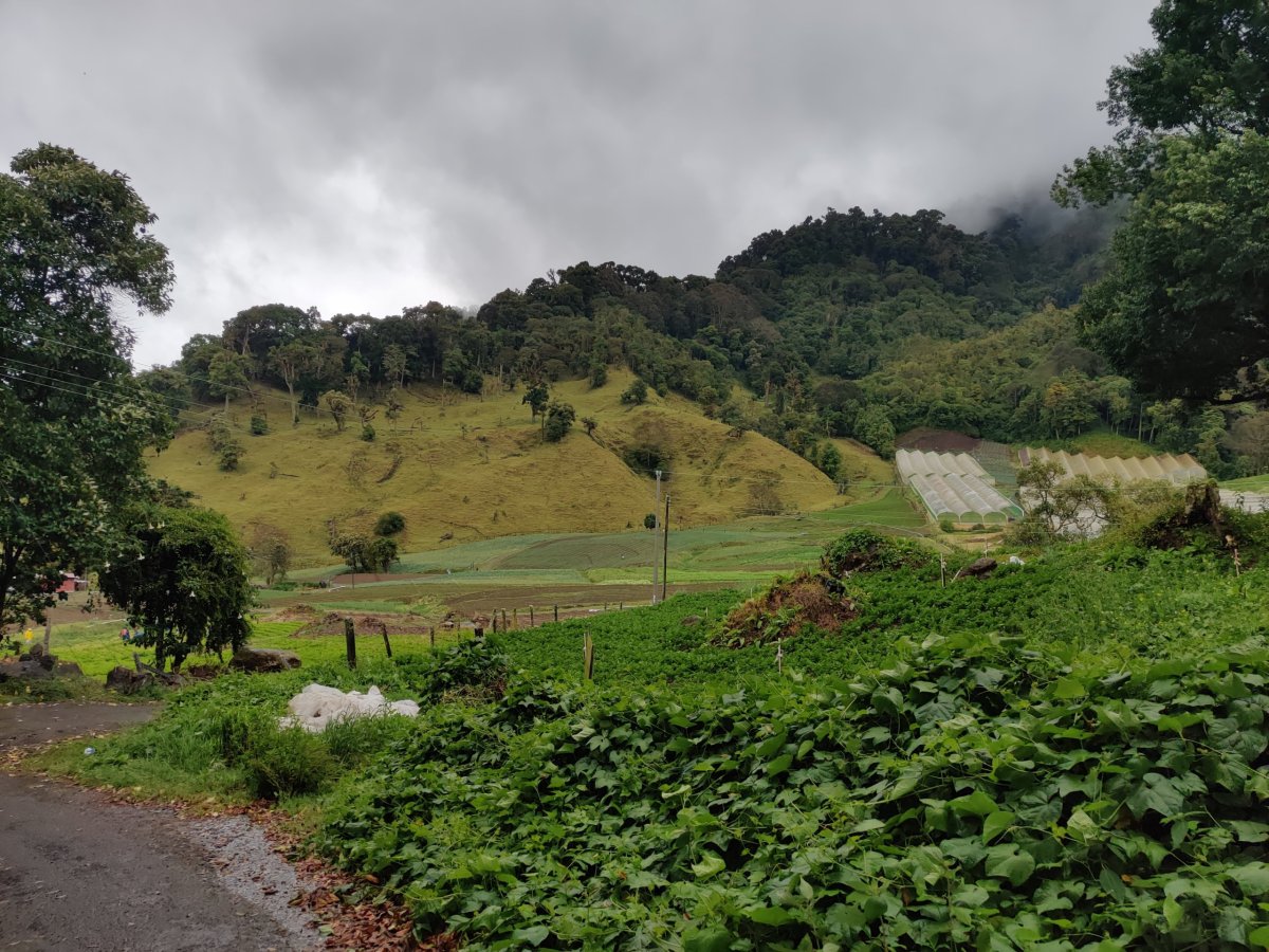 Cestou k uzavřenému treku za Kvesaly (Bajo Grande)