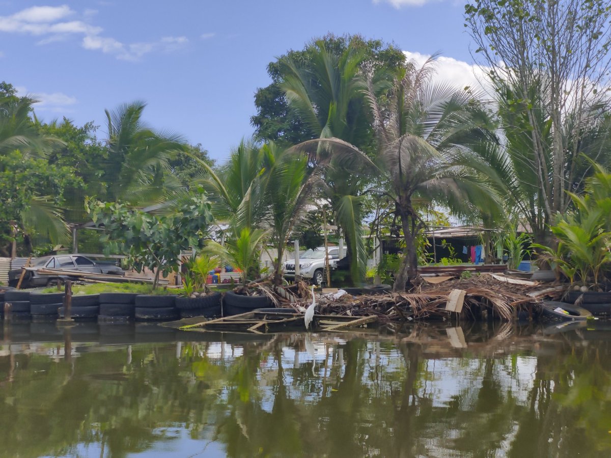Najdi ptáka! ...poblíž přístavu v Almirante