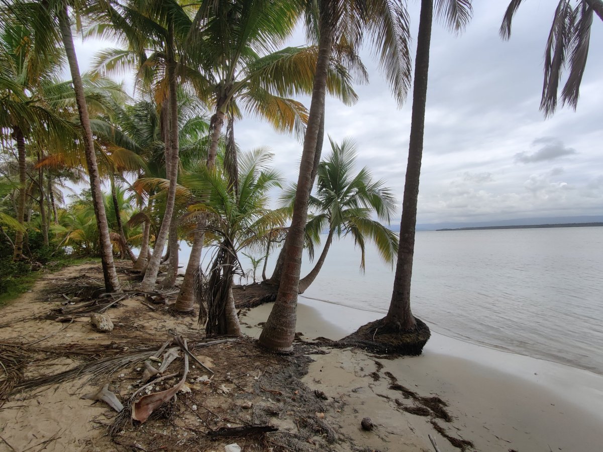 Pláž poblíž Boca Del Drago