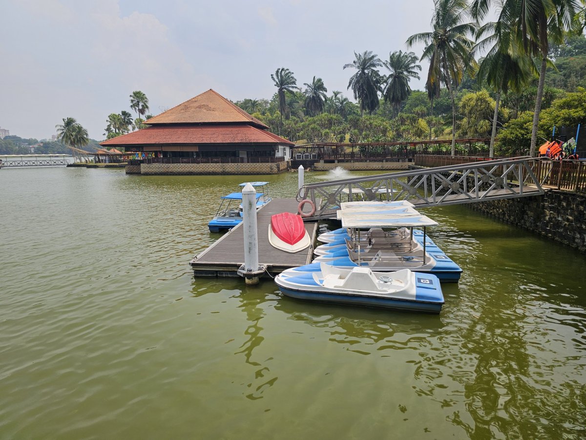 Šlapadla v botanické zahradě