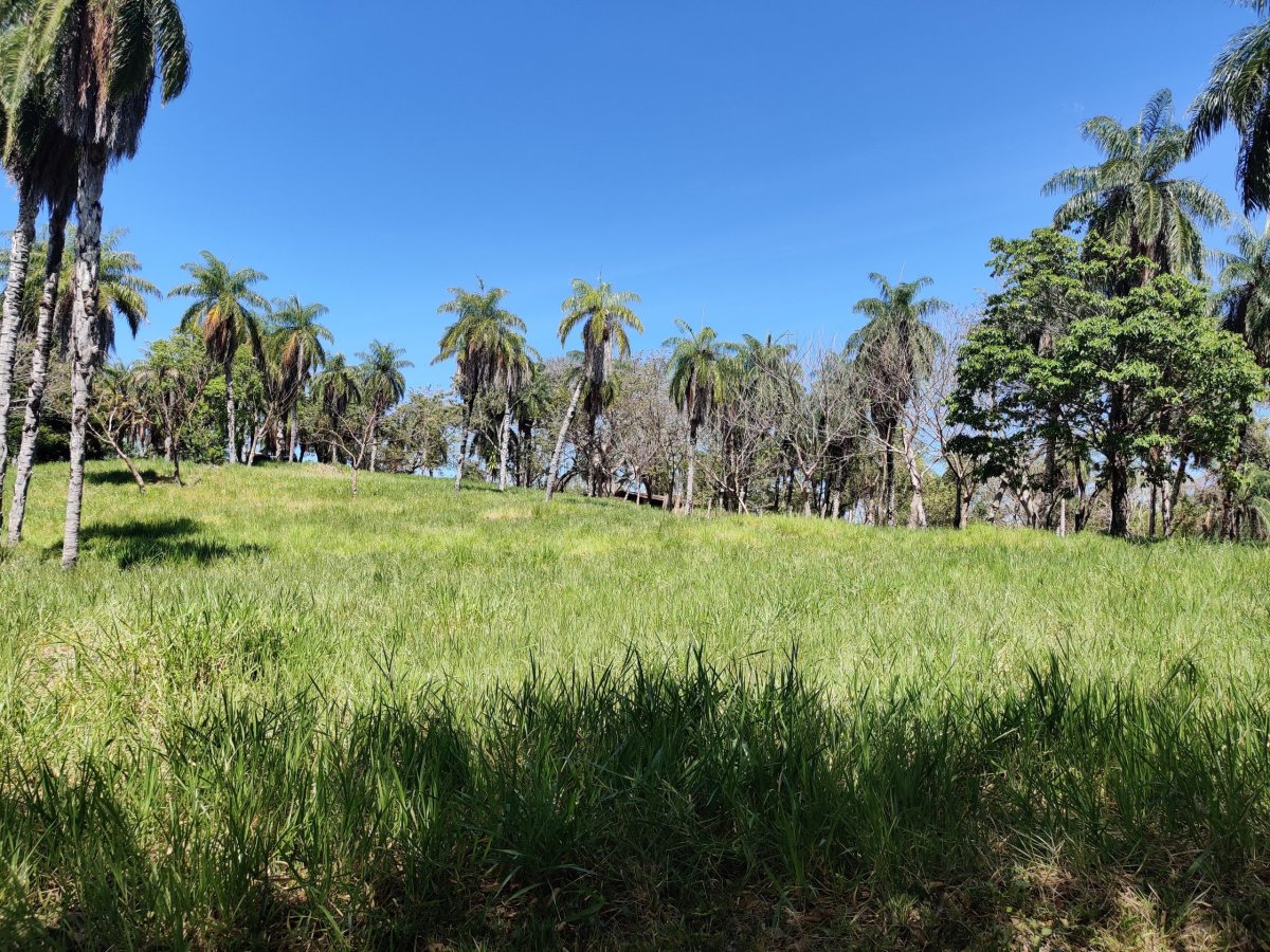 Na ostrově Boca Brava