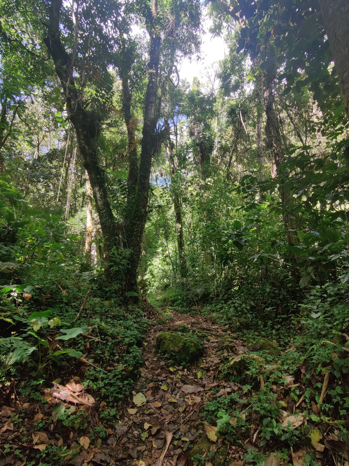 Cestou po Pipeline Trail