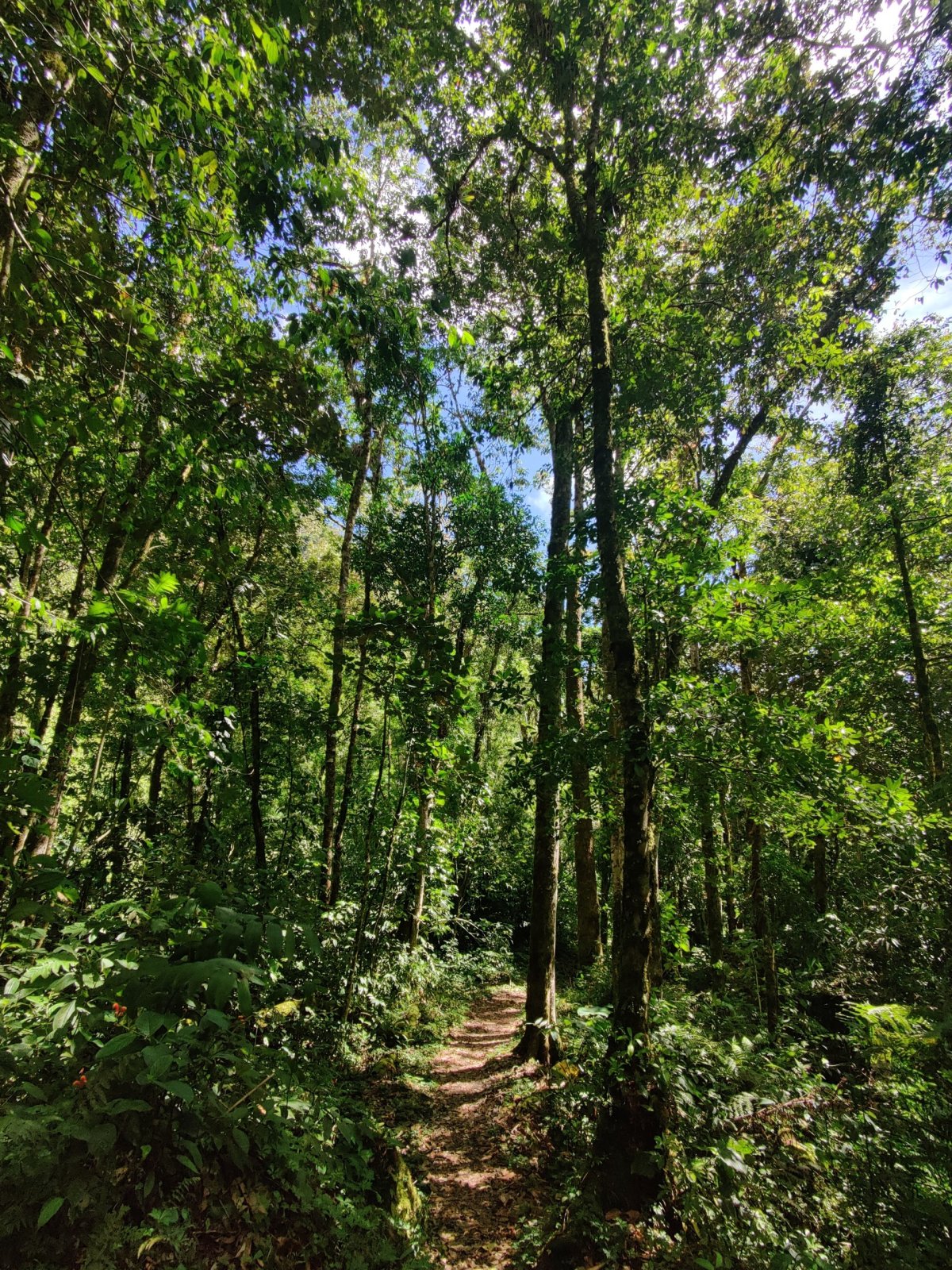 Cestou po Pipeline Trail