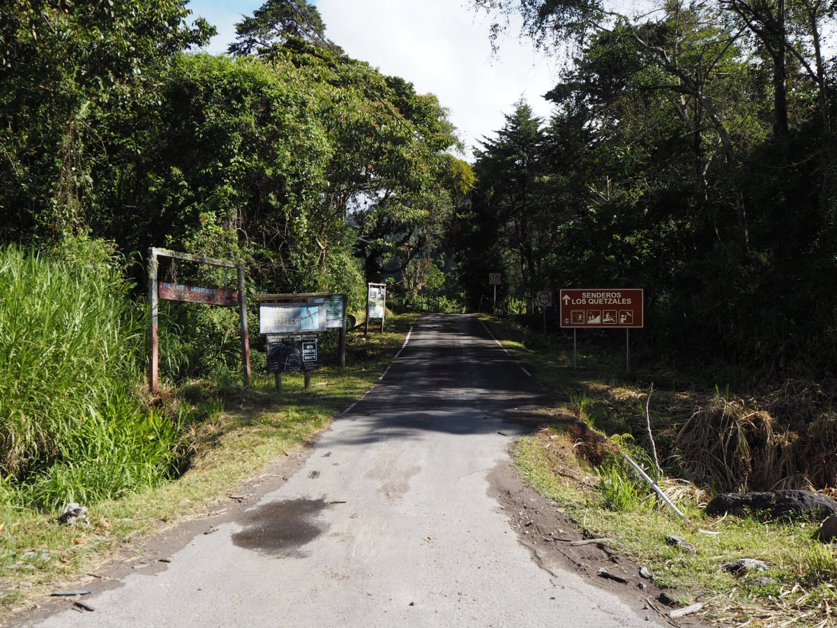 Cerro Punta - Bajo Grande