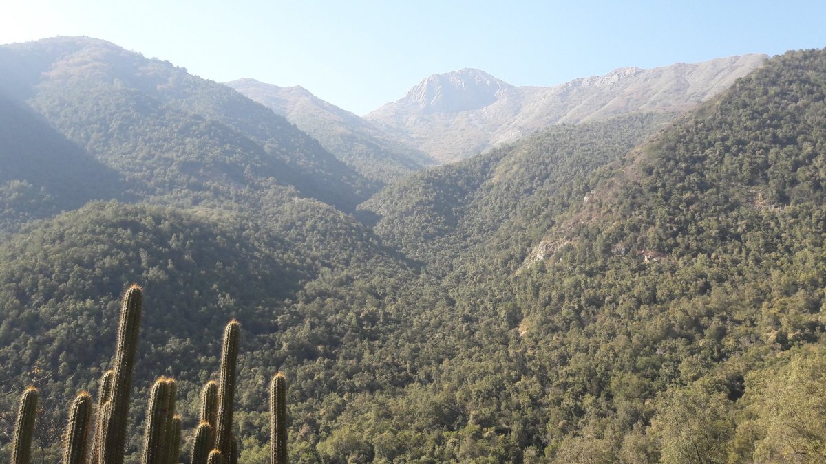 Cerro La Campana.