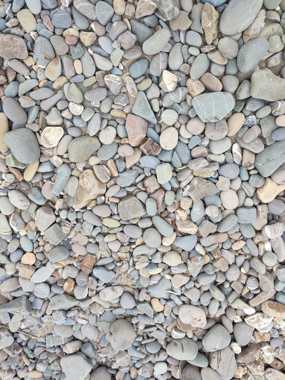 Kamínky ve Widemouth Bay