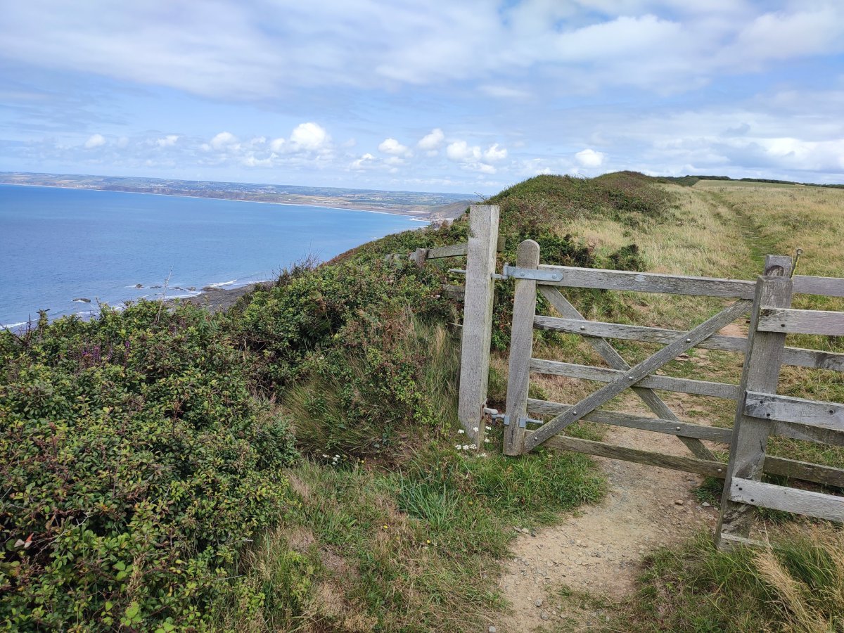 Poslední pohled k Bude